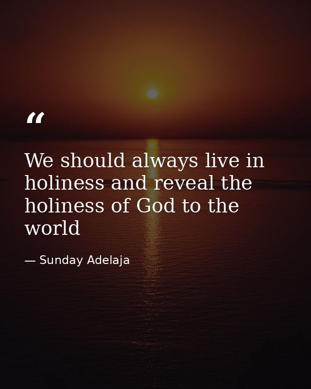 We should always live in holiness and reveal the holiness of God to the world — Sunday Adelaja