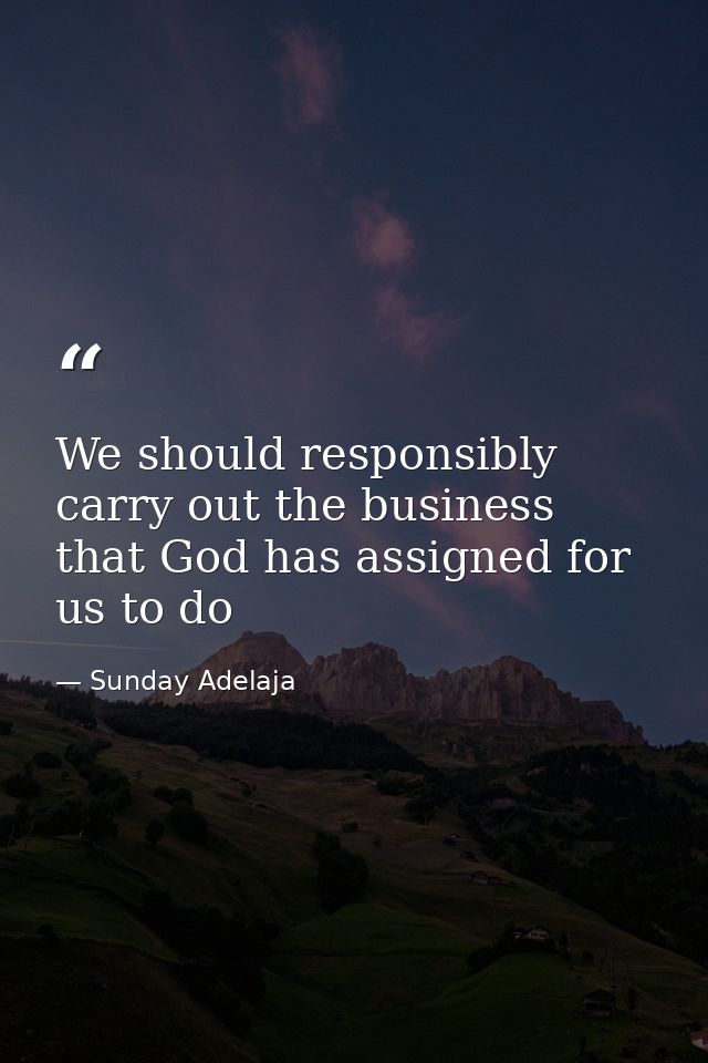 We should responsibly carry out the business that God has assigned for us to do — Sunday Adelaja