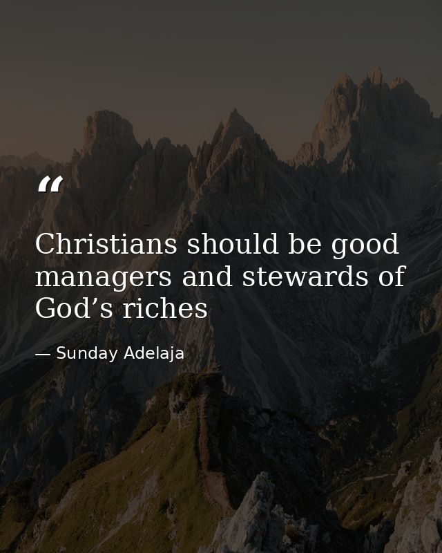 Christians should be good managers and stewards of God’s riches — Sunday Adelaja