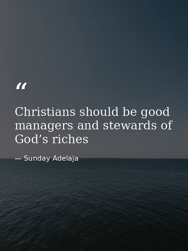 Christians should be good managers and stewards of God’s riches — Sunday Adelaja