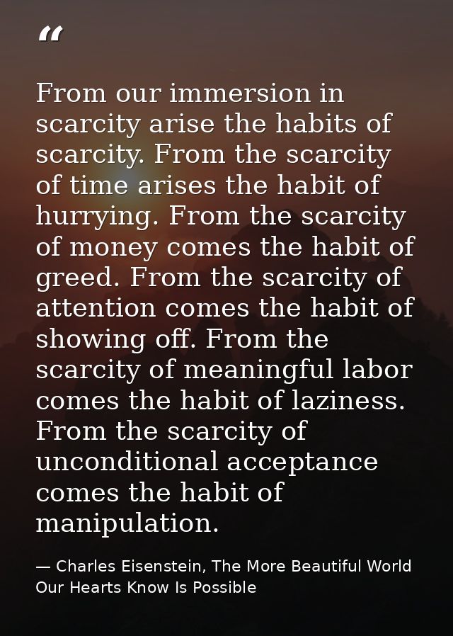From our immersion in scarcity arise the habits of scarcity. From the scarcity of time arises the habit of hurrying. Fro — Charles Eisenstein, The More Beautiful World Our Hearts Know Is Possible