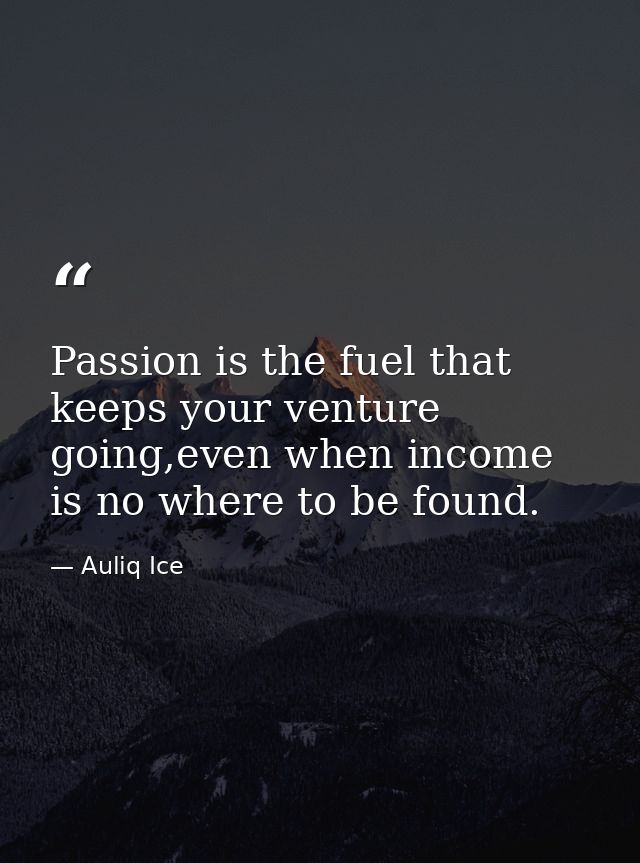 Passion is the fuel that keeps your venture going,even when income is no where to be found. — Auliq Ice