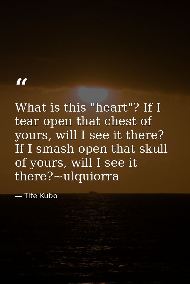 What is this "heart"? If I tear open that chest of yours, will I see it there? If I smash open that skull of yours, will — Tite Kubo