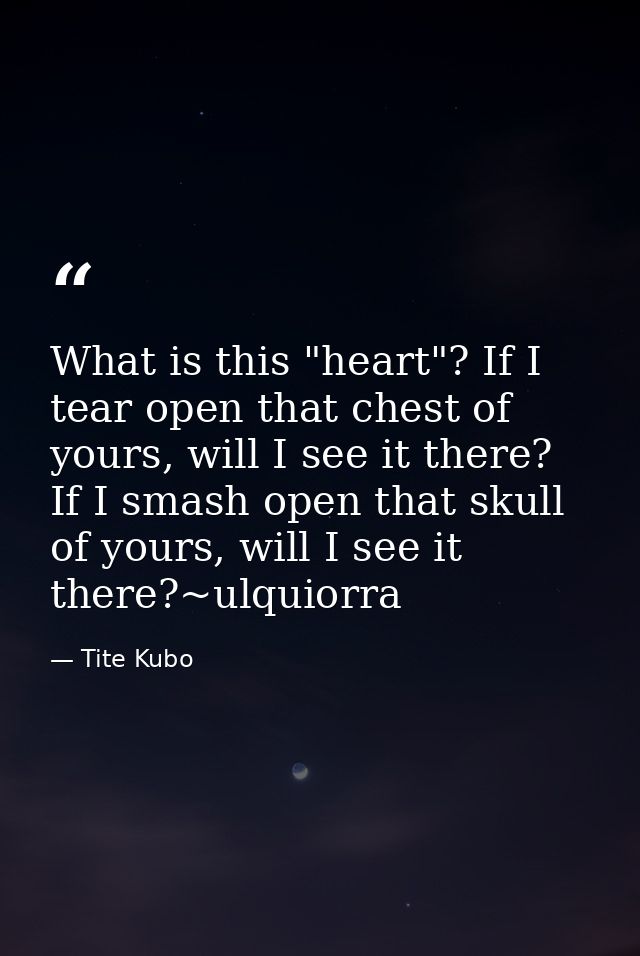 What is this "heart"? If I tear open that chest of yours, will I see it there? If I smash open that skull of yours, will — Tite Kubo