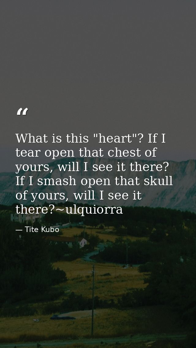 What is this "heart"? If I tear open that chest of yours, will I see it there? If I smash open that skull of yours, will — Tite Kubo