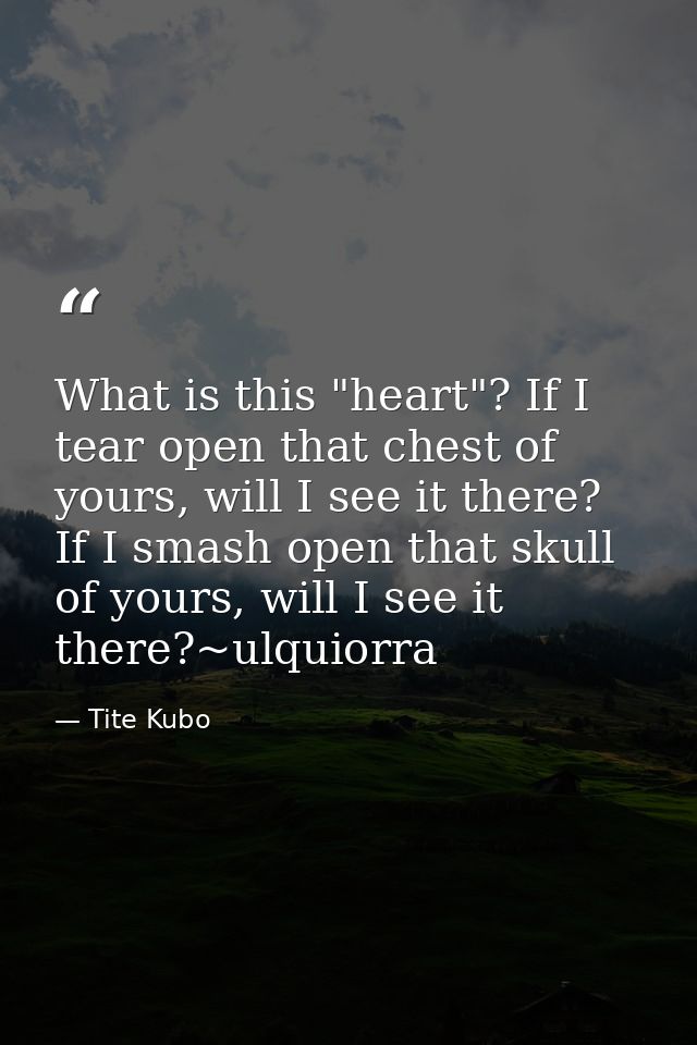 What is this "heart"? If I tear open that chest of yours, will I see it there? If I smash open that skull of yours, will — Tite Kubo
