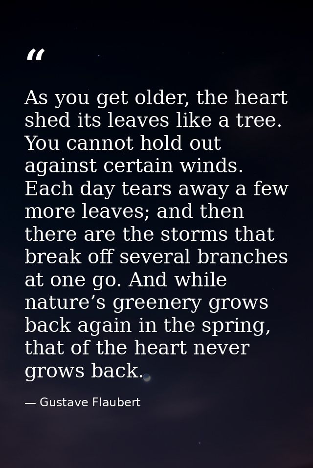 As you get older, the heart shed its leaves like a tree. You cannot hold out against certain winds. Each day tears away  — Gustave Flaubert