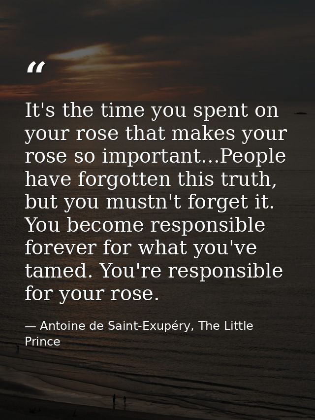 It's the time you spent on your rose that makes your rose so important...People have forgotten this truth, but you mustn — Antoine de Saint-Exupéry, The Little Prince