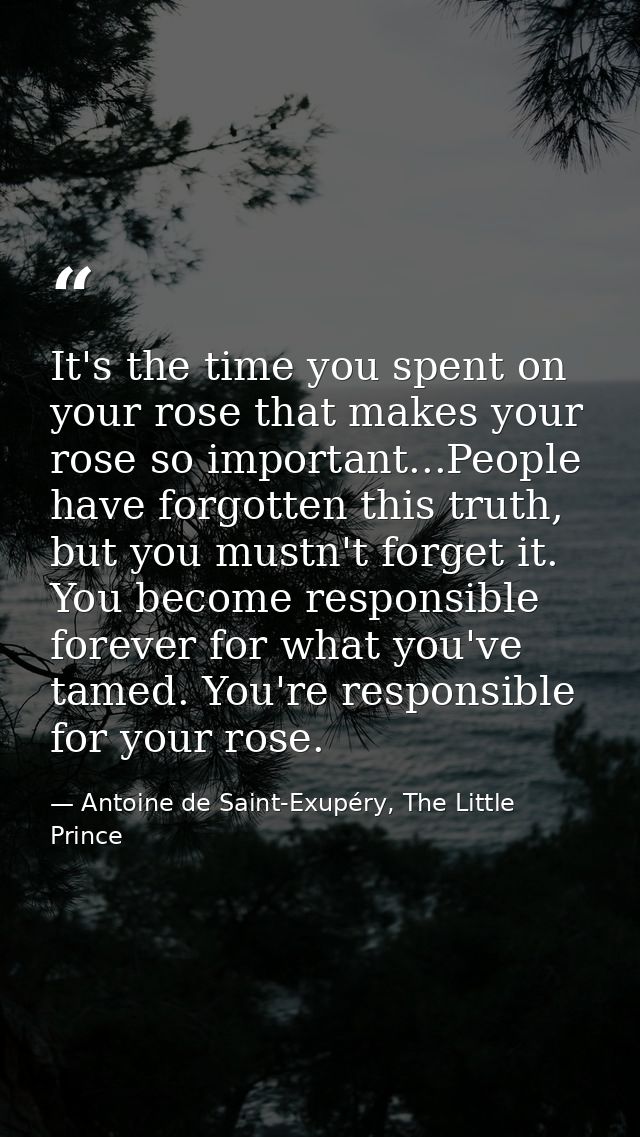 It's the time you spent on your rose that makes your rose so important...People have forgotten this truth, but you mustn — Antoine de Saint-Exupéry, The Little Prince