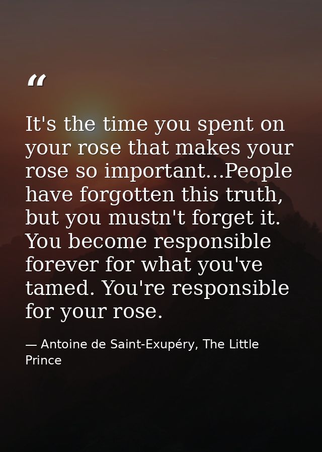 It's the time you spent on your rose that makes your rose so important...People have forgotten this truth, but you mustn — Antoine de Saint-Exupéry, The Little Prince