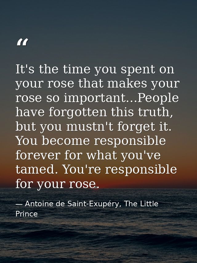 It's the time you spent on your rose that makes your rose so important...People have forgotten this truth, but you mustn — Antoine de Saint-Exupéry, The Little Prince
