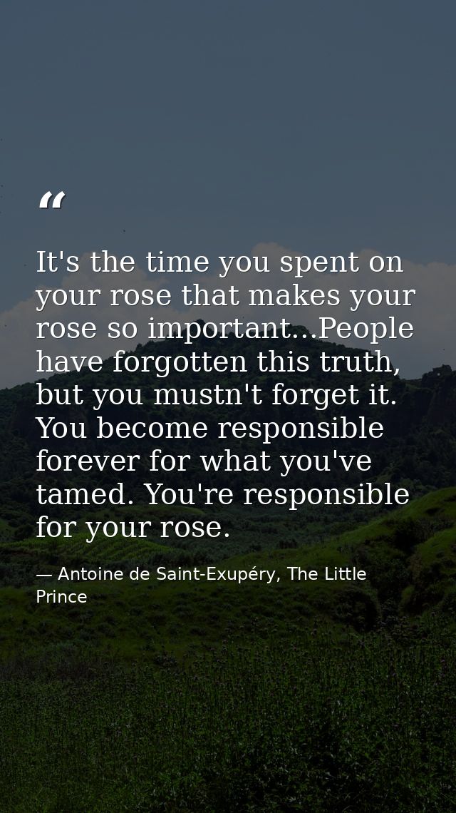 It's the time you spent on your rose that makes your rose so important...People have forgotten this truth, but you mustn — Antoine de Saint-Exupéry, The Little Prince