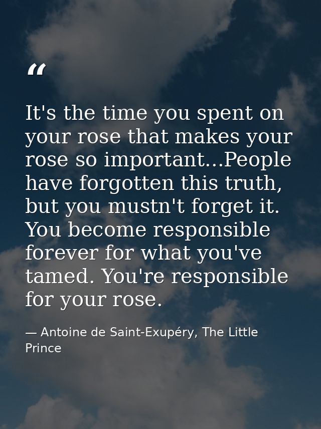It's the time you spent on your rose that makes your rose so important...People have forgotten this truth, but you mustn — Antoine de Saint-Exupéry, The Little Prince