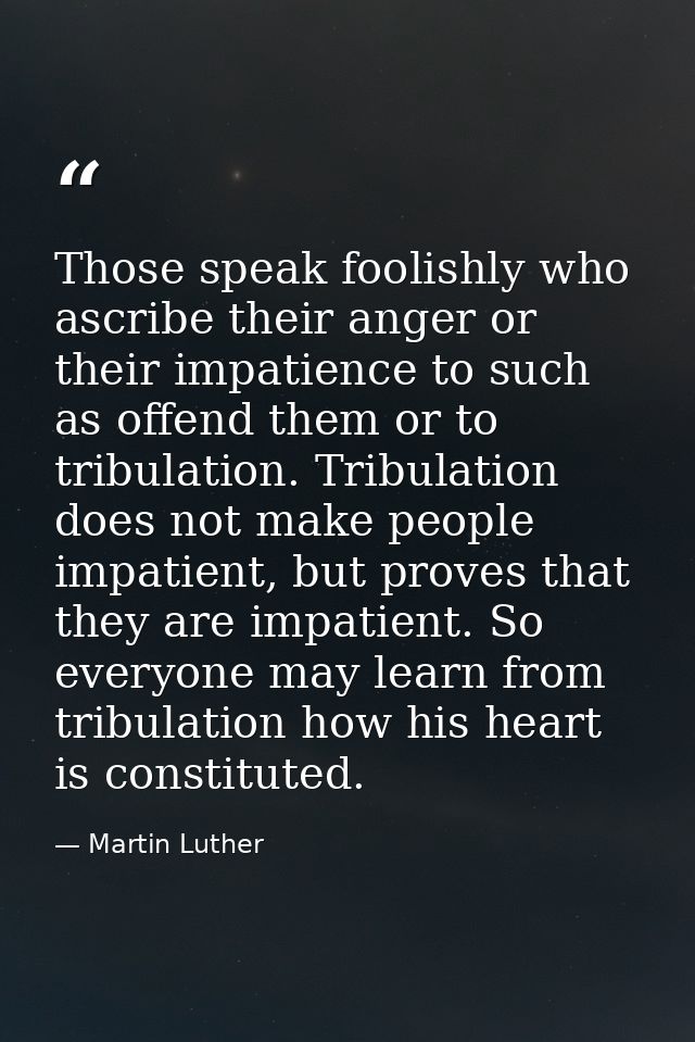 Those speak foolishly who ascribe their anger or their impatience to such as offend them or to tribulation. Tribulation  — Martin Luther