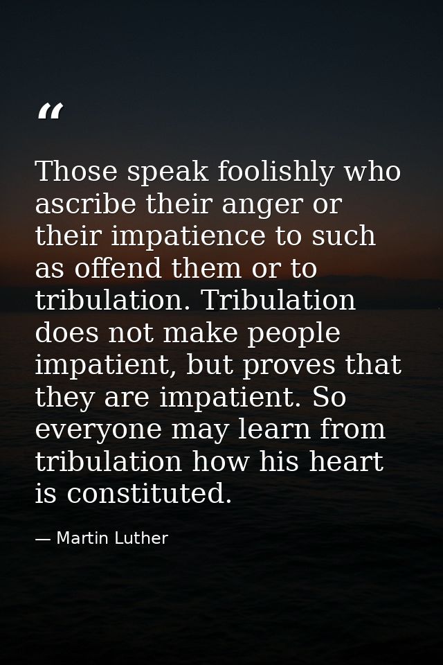 Those speak foolishly who ascribe their anger or their impatience to such as offend them or to tribulation. Tribulation  — Martin Luther