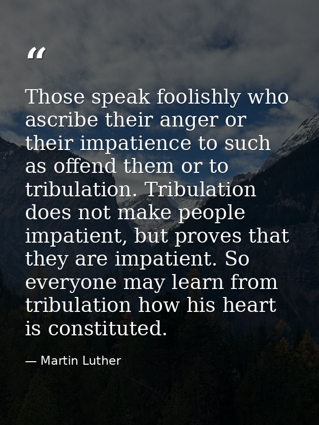 Those speak foolishly who ascribe their anger or their impatience to such as offend them or to tribulation. Tribulation  — Martin Luther