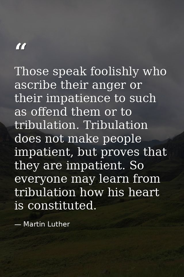 Those speak foolishly who ascribe their anger or their impatience to such as offend them or to tribulation. Tribulation  — Martin Luther