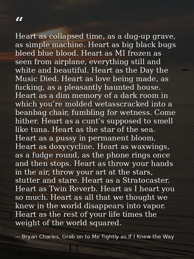 Heart as collapsed time, as a dug-up grave, as simple machine. Heart as big black bugs bleed blue blood. Heart as MI fro — Bryan Charles, Grab on to Me Tightly as If I Knew the Way