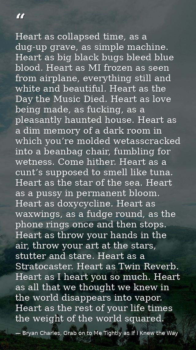Heart as collapsed time, as a dug-up grave, as simple machine. Heart as big black bugs bleed blue blood. Heart as MI fro — Bryan Charles, Grab on to Me Tightly as If I Knew the Way