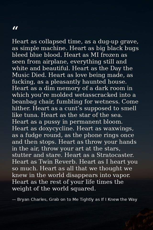 Heart as collapsed time, as a dug-up grave, as simple machine. Heart as big black bugs bleed blue blood. Heart as MI fro — Bryan Charles, Grab on to Me Tightly as If I Knew the Way