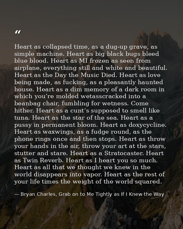 Heart as collapsed time, as a dug-up grave, as simple machine. Heart as big black bugs bleed blue blood. Heart as MI fro — Bryan Charles, Grab on to Me Tightly as If I Knew the Way