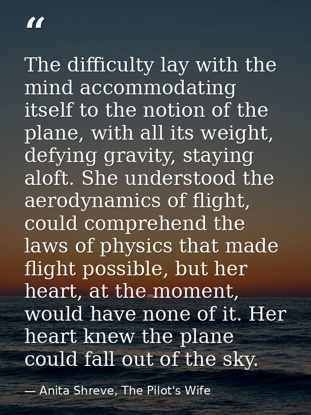 The difficulty lay with the mind accommodating itself to the notion of the plane, with all its weight, defying gravity,  — Anita Shreve, The Pilot's Wife