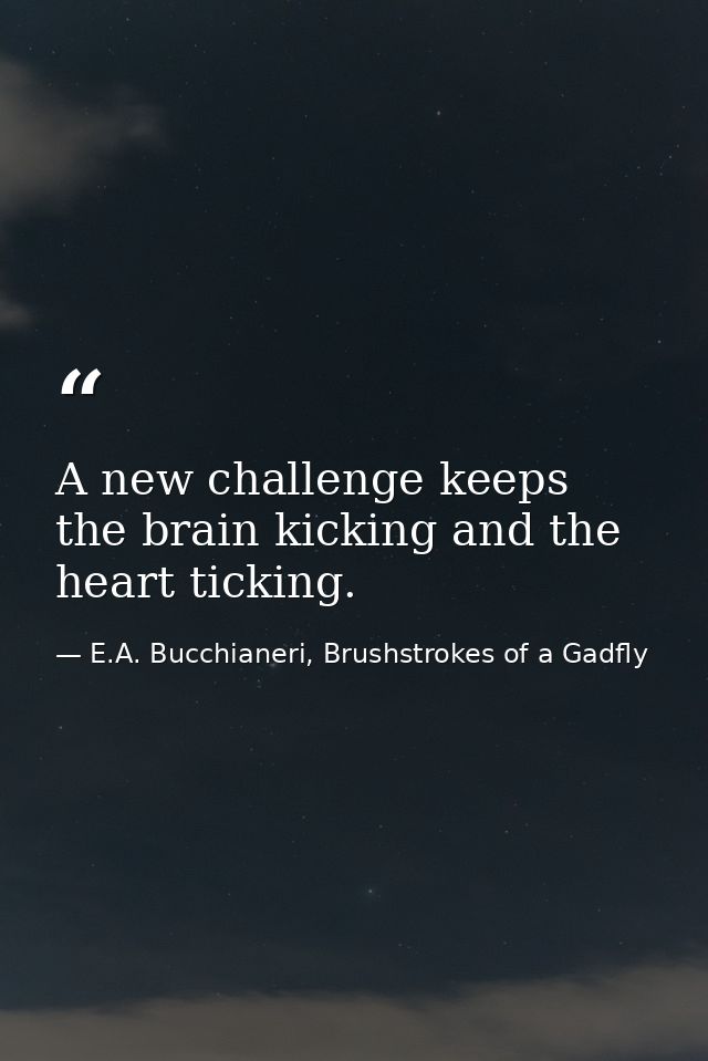 A new challenge keeps the brain kicking and the heart ticking. — E.A. Bucchianeri, Brushstrokes of a Gadfly