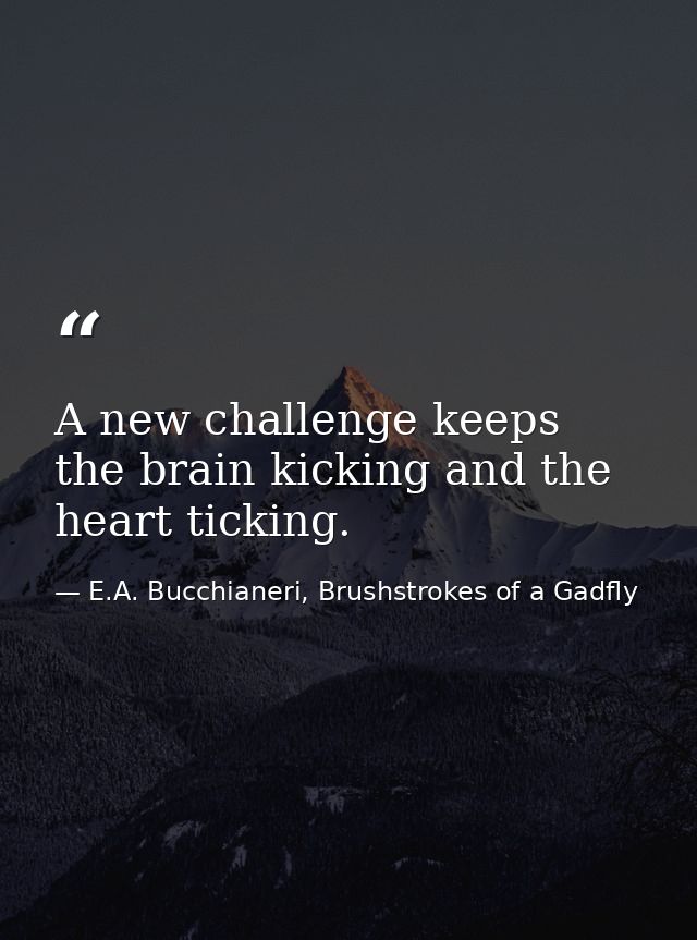 A new challenge keeps the brain kicking and the heart ticking. — E.A. Bucchianeri, Brushstrokes of a Gadfly