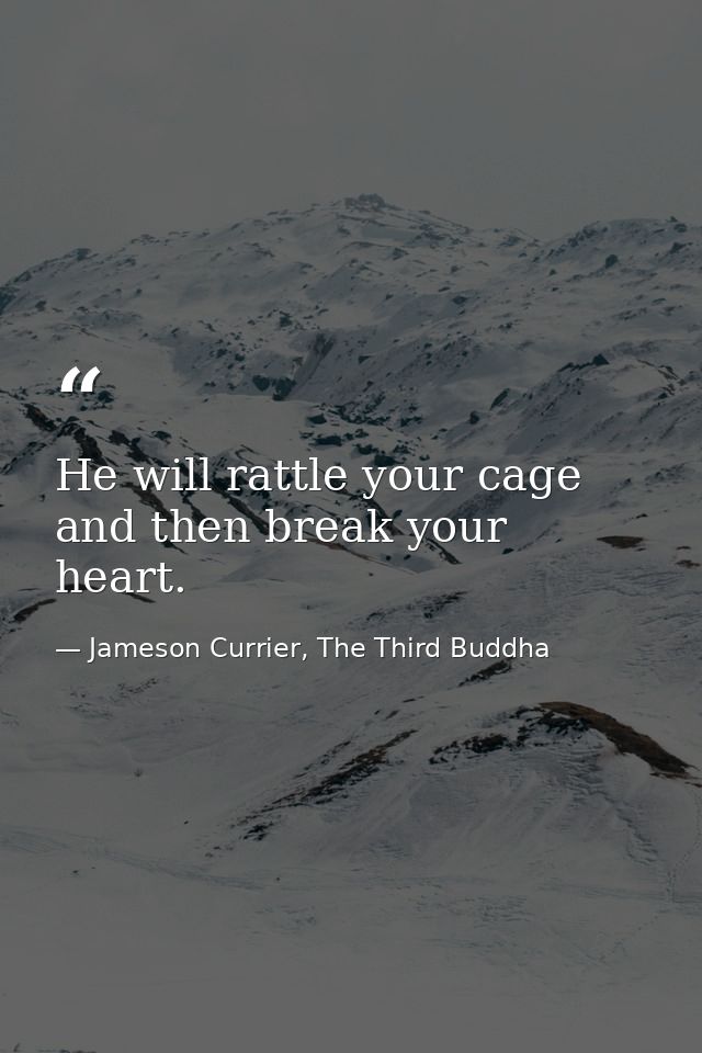 He will rattle your cage and then break your heart. — Jameson Currier, The Third Buddha