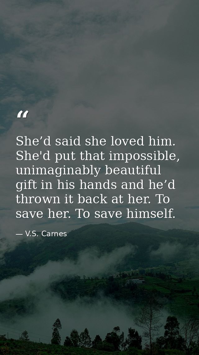 She’d said she loved him. She'd put that impossible, unimaginably beautiful gift in his hands and he’d thrown it back at — V.S. Carnes