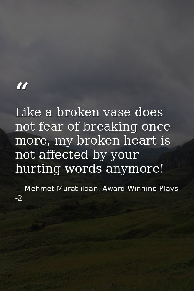 Like a broken vase does not fear of breaking once more, my broken heart is not affected by your hurting words anymore! — Mehmet Murat ildan, Award Winning Plays -2