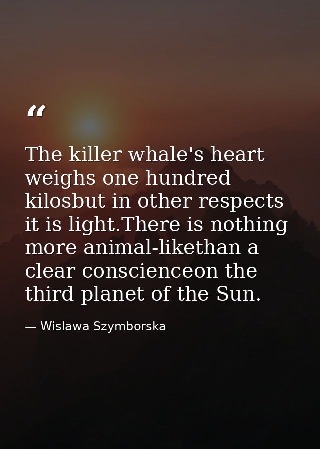 The killer whale's heart weighs one hundred kilosbut in other respects it is light.There is nothing more animal-likethan — Wislawa Szymborska