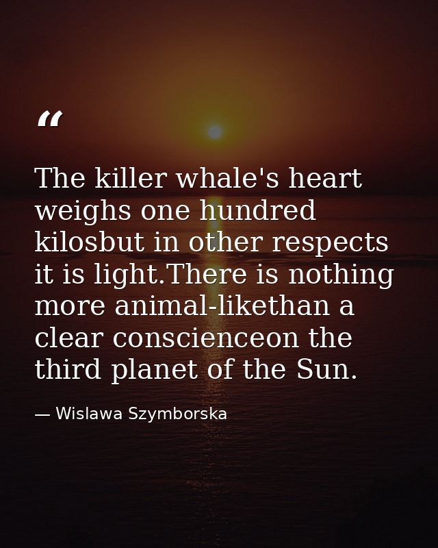 The killer whale's heart weighs one hundred kilosbut in other respects it is light.There is nothing more animal-likethan — Wislawa Szymborska