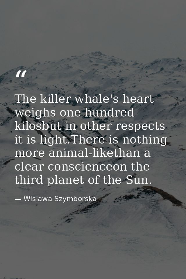 The killer whale's heart weighs one hundred kilosbut in other respects it is light.There is nothing more animal-likethan — Wislawa Szymborska