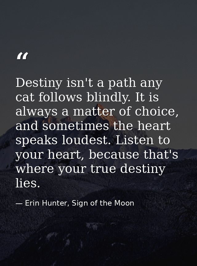 Destiny isn't a path any cat follows blindly. It is always a matter of choice, and sometimes the heart speaks loudest. L — Erin Hunter, Sign of the Moon