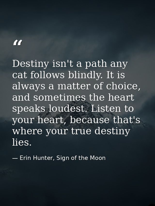 Destiny isn't a path any cat follows blindly. It is always a matter of choice, and sometimes the heart speaks loudest. L — Erin Hunter, Sign of the Moon