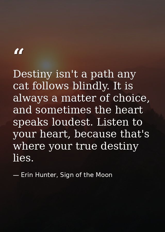 Destiny isn't a path any cat follows blindly. It is always a matter of choice, and sometimes the heart speaks loudest. L — Erin Hunter, Sign of the Moon