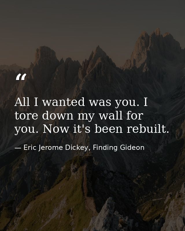 All I wanted was you. I tore down my wall for you. Now it's been rebuilt. — Eric Jerome Dickey, Finding Gideon