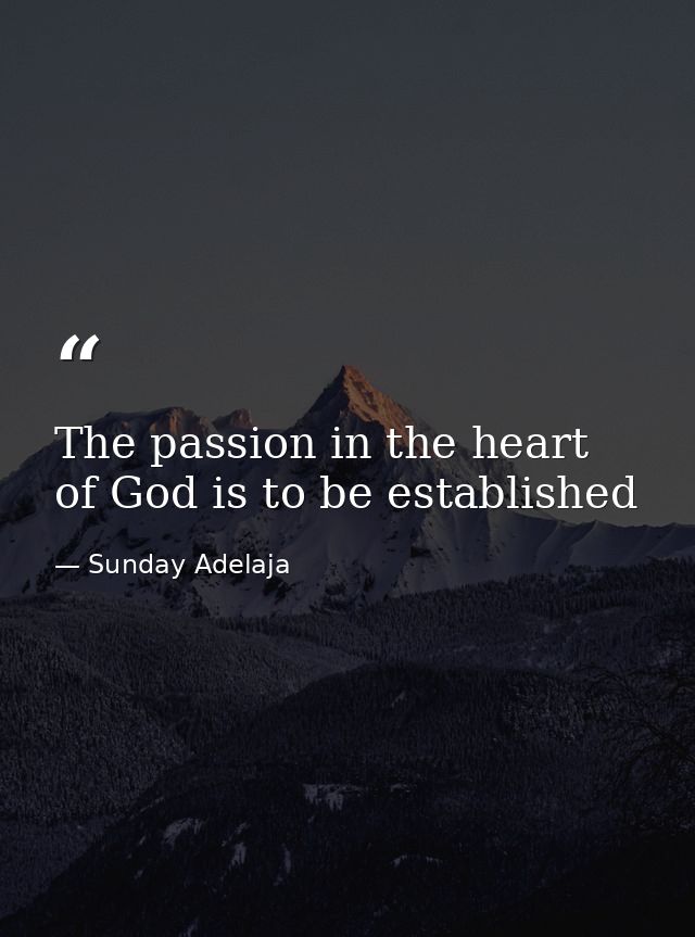 The passion in the heart of God is to be established — Sunday Adelaja