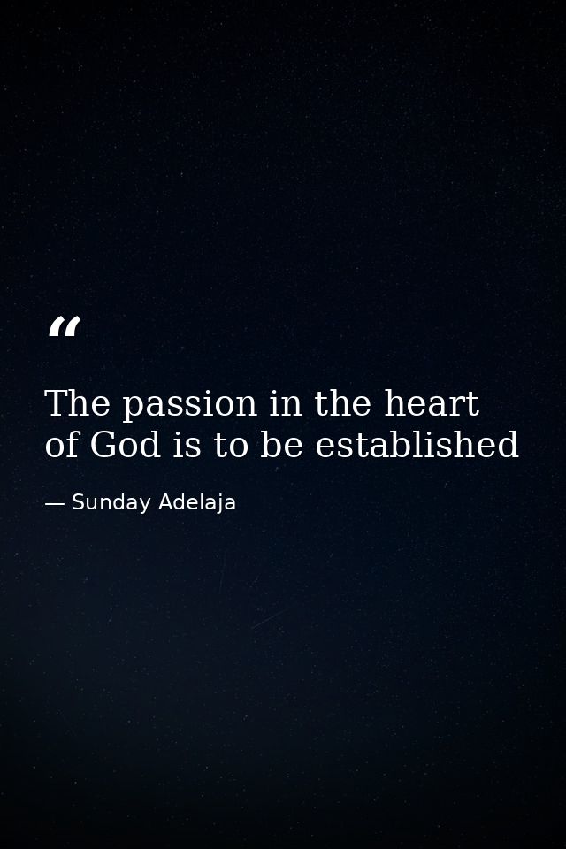 The passion in the heart of God is to be established — Sunday Adelaja