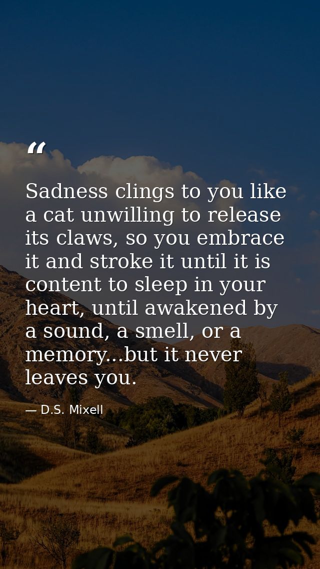Sadness clings to you like a cat unwilling to release its claws, so you embrace it and stroke it until it is content to  — D.S. Mixell