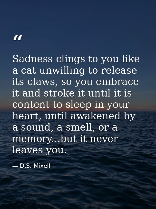 Sadness clings to you like a cat unwilling to release its claws, so you embrace it and stroke it until it is content to  — D.S. Mixell