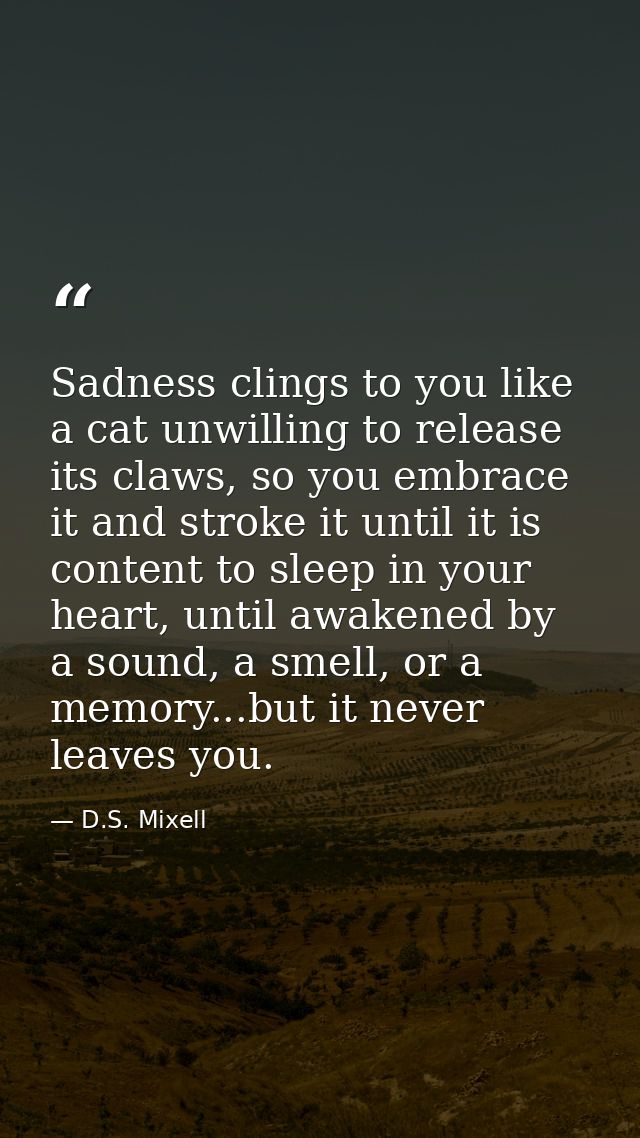 Sadness clings to you like a cat unwilling to release its claws, so you embrace it and stroke it until it is content to  — D.S. Mixell
