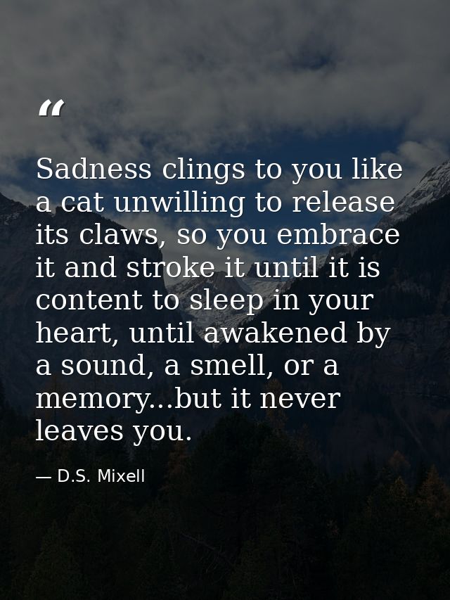 Sadness clings to you like a cat unwilling to release its claws, so you embrace it and stroke it until it is content to  — D.S. Mixell