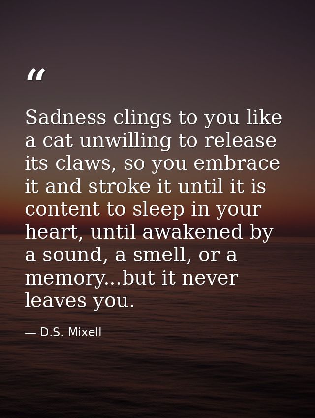 Sadness clings to you like a cat unwilling to release its claws, so you embrace it and stroke it until it is content to  — D.S. Mixell
