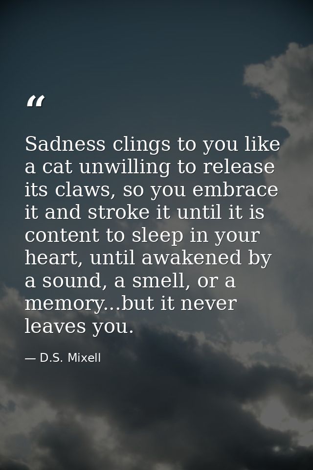 Sadness clings to you like a cat unwilling to release its claws, so you embrace it and stroke it until it is content to  — D.S. Mixell