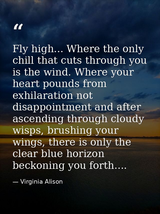 Fly high... Where the only chill that cuts through you is the wind. Where your heart pounds from exhilaration not disapp — Virginia Alison