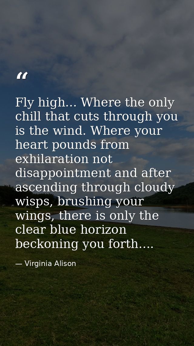 Fly high... Where the only chill that cuts through you is the wind. Where your heart pounds from exhilaration not disapp — Virginia Alison
