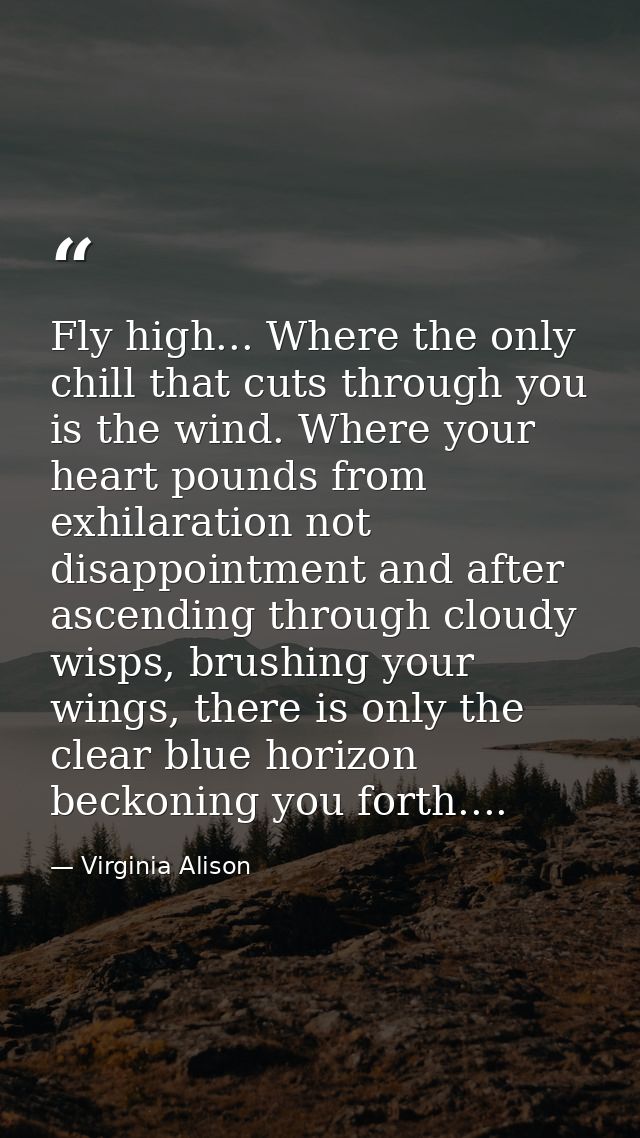 Fly high... Where the only chill that cuts through you is the wind. Where your heart pounds from exhilaration not disapp — Virginia Alison