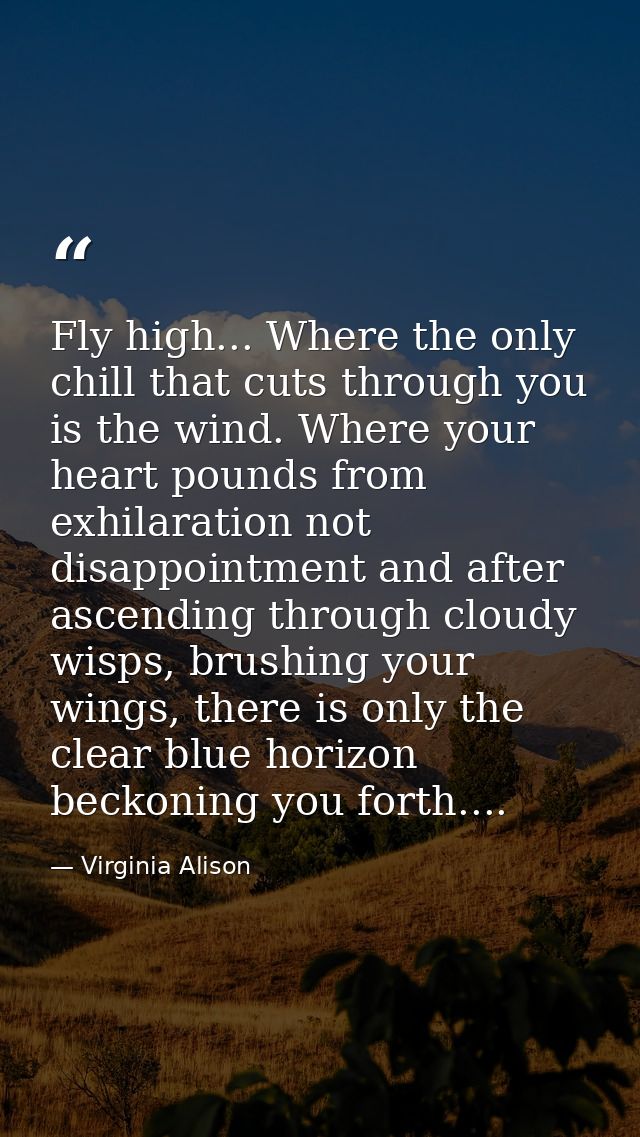 Fly high... Where the only chill that cuts through you is the wind. Where your heart pounds from exhilaration not disapp — Virginia Alison